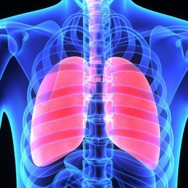 Biópsia pulmonar em Nova Hartz - RS