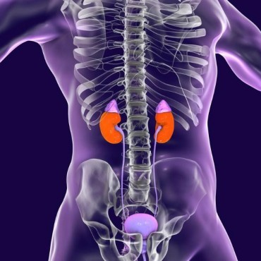 Biópsia de adrenal em Sapucaia do Sul - RS