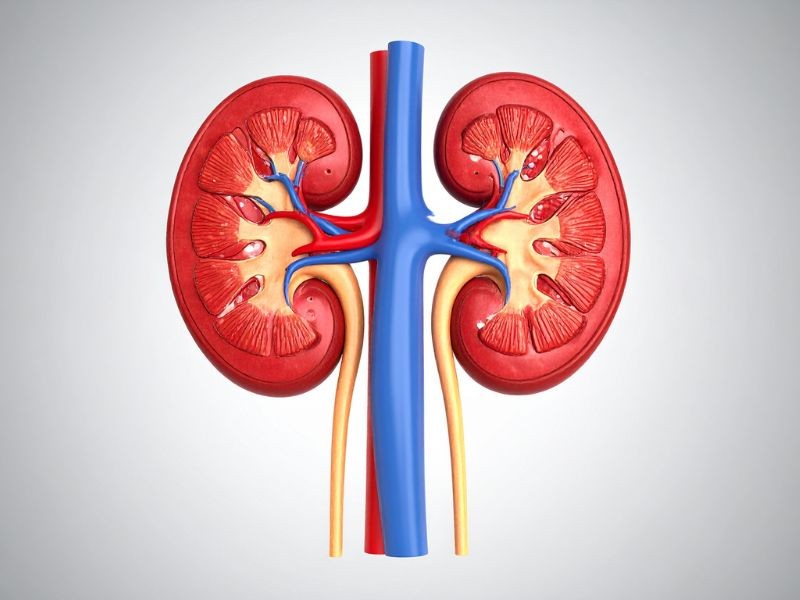 Ablação Renal