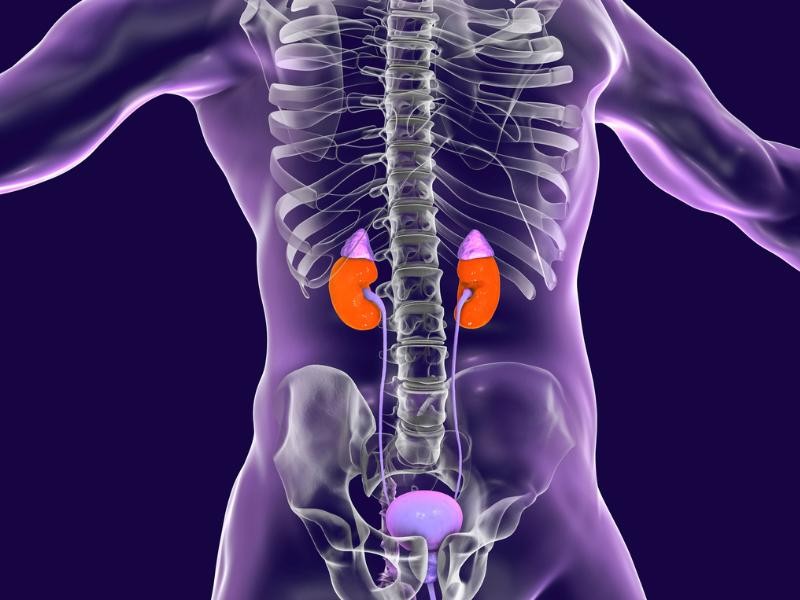 Biópsia de adrenal em Charqueadas - RS